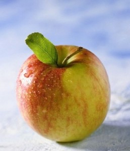 Pomme Reinette