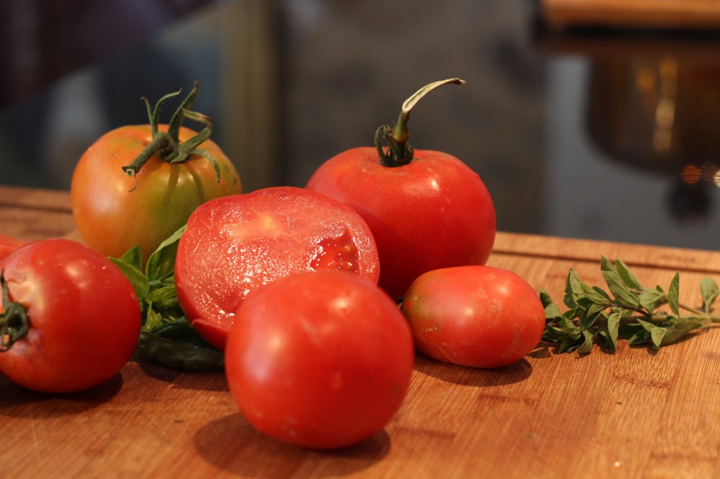 Tomates du jardin gorgées de soleil