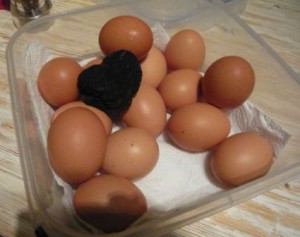 un petit plus ; la Truffe et les œufs dans un bocal