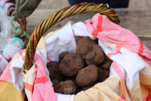 panier de truffes noires