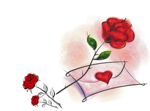 Saint Valentin Roses rouges &