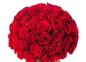 Saint Valentin Roses rouges